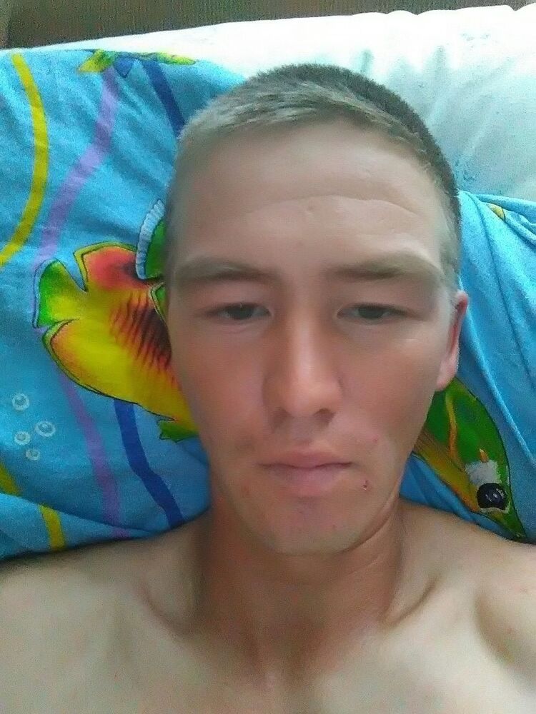  13304961  , 33 ,    