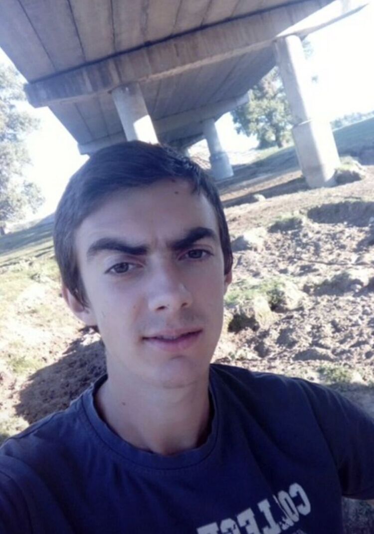  50682781  , 40 ,    