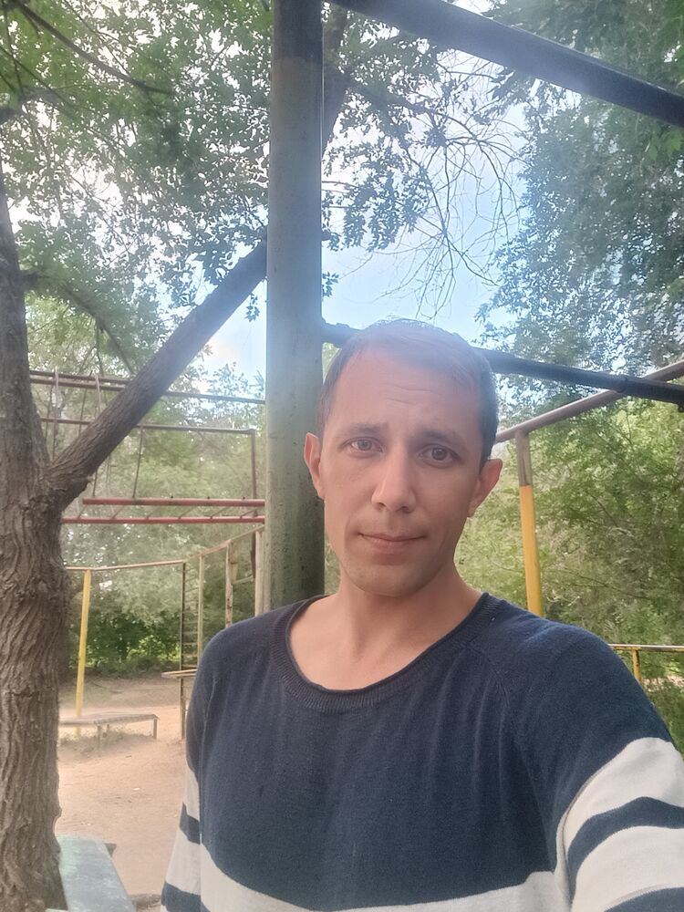  53812911  , 37 ,    