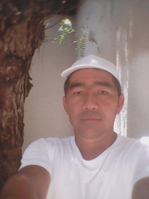 12652081  , 44 ,    