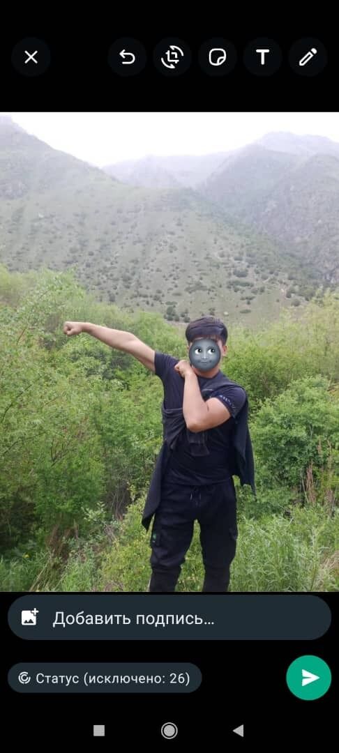 ���� 36992261 ������� Zoro, 26 ���, ���� ���������� � ������������