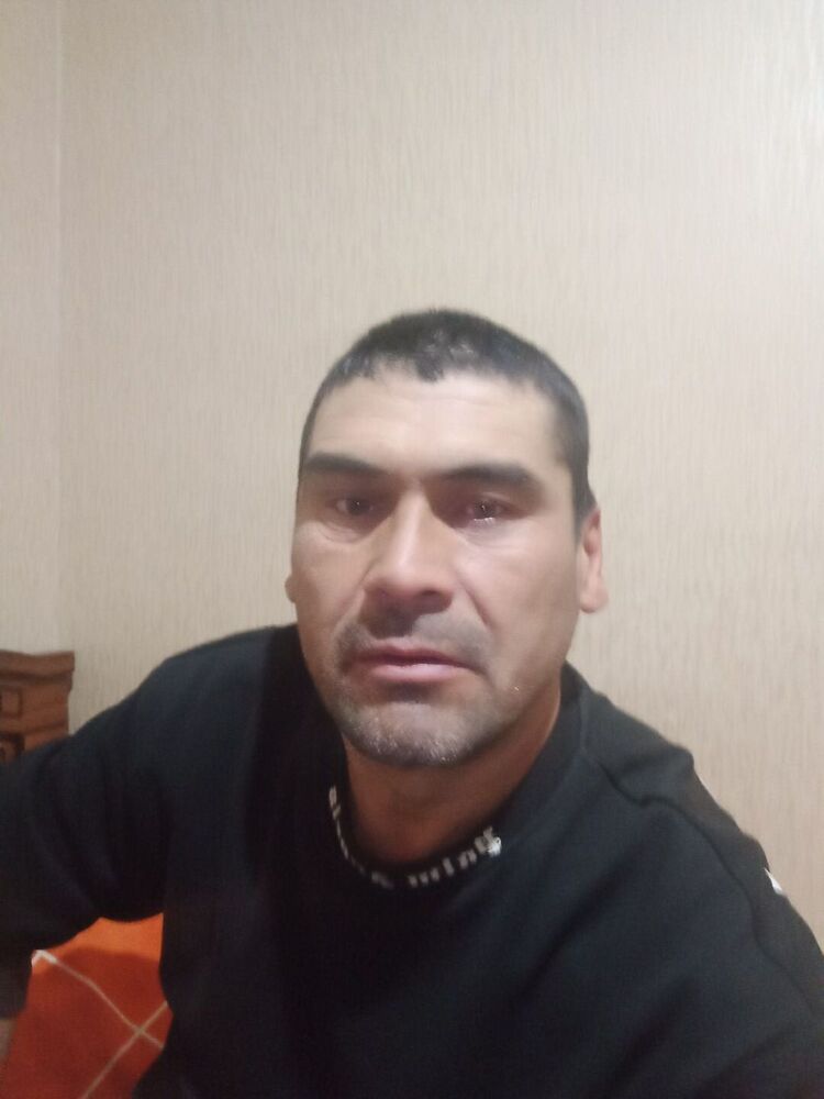 ���� 31128301 ������� �����, 48 ���, ���� ���������� � ����