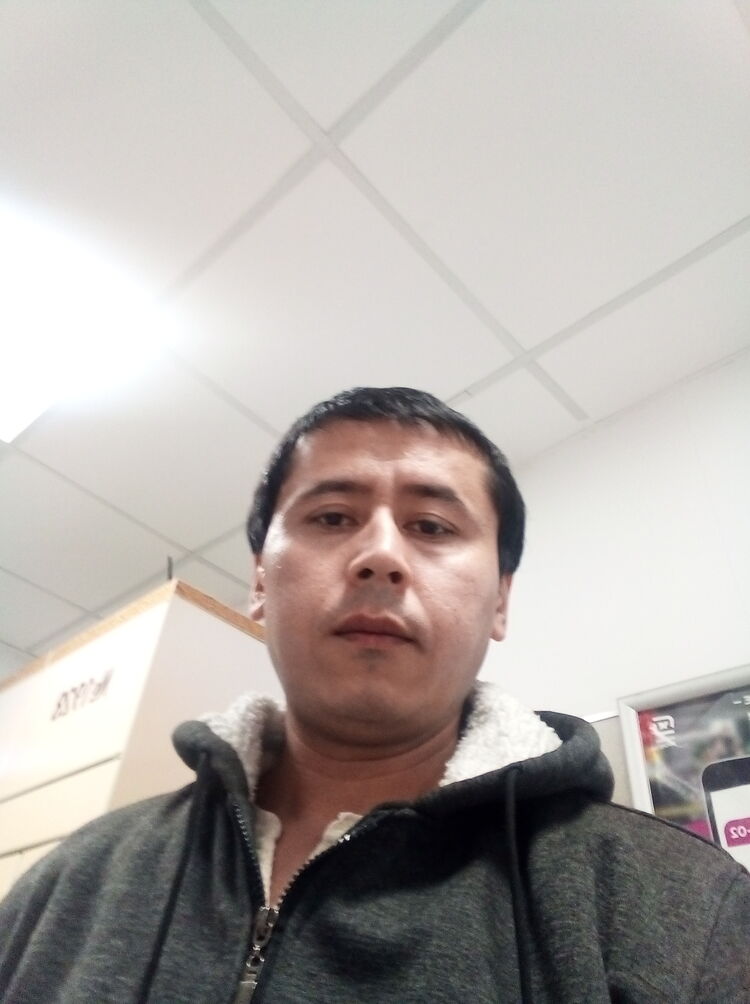  33452761  , 36 ,    