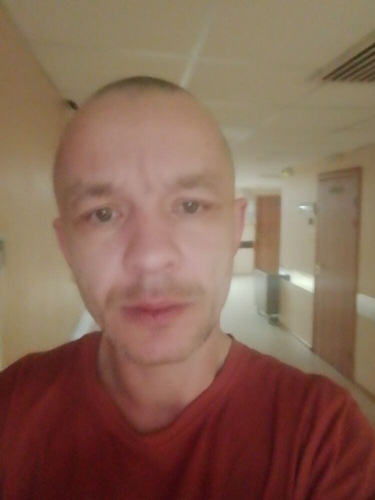  49331701  , 23 ,    