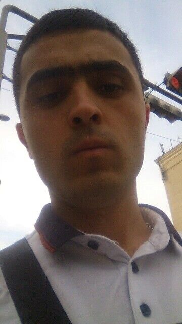 ���� 10686221 ������� ����, 33 ����, ���� ���������� � �����