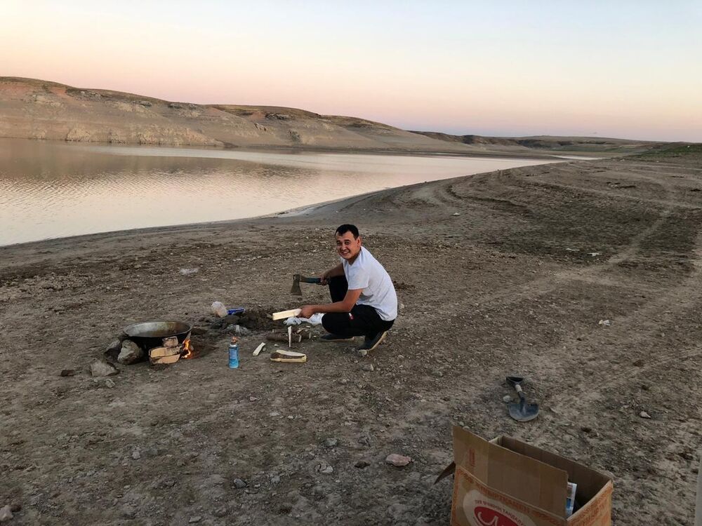 ���� 17381951 ������� ������, 36 ���, ���� ���������� � ������ ���������