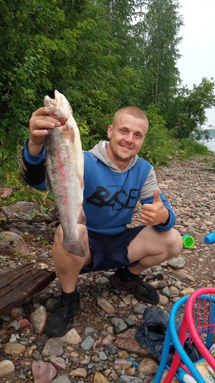  27925041  , 34 ,    -