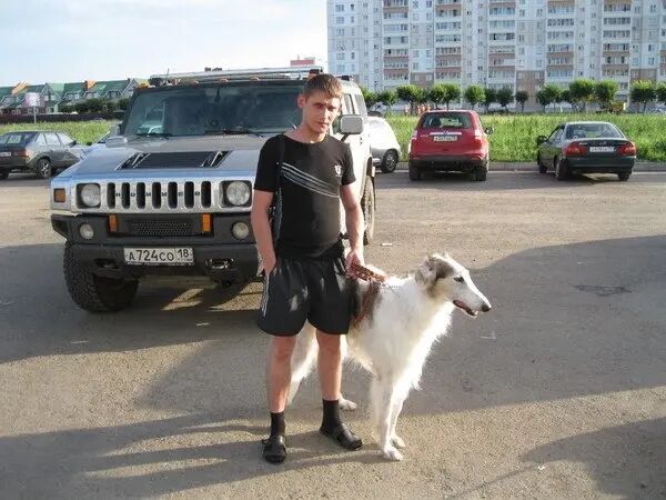 ���� 26929001 ������� ����������, 38 ���, ���� ���������� � ���������� ������