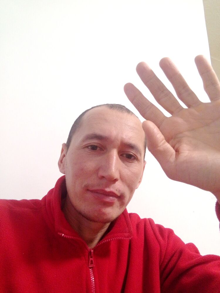  48753621  , 36 ,    