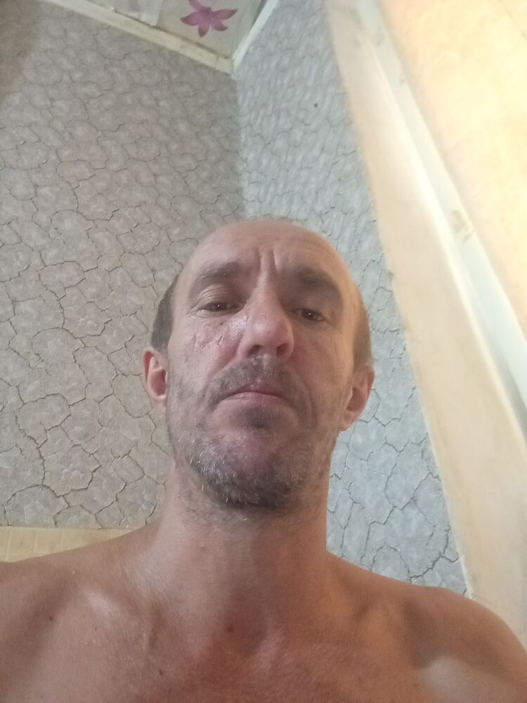  46173201  , 43 ,    