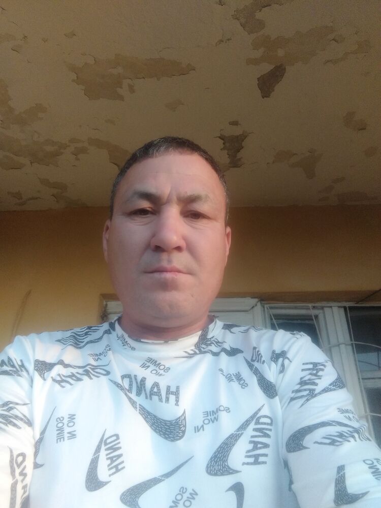  24165881  , 50 ,    