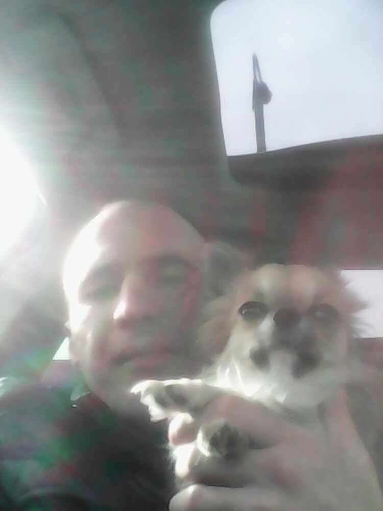 ���� 11129501 ������� �������, 40 ���, ���� ���������� � �������