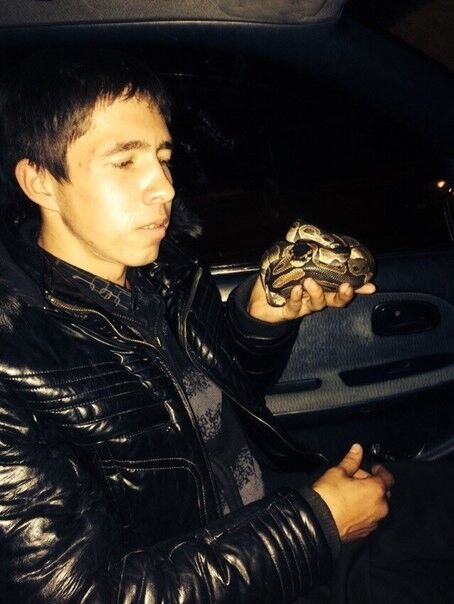 ���� 16672671 ������� ������, 30 ���, ���� ���������� � ����-����������