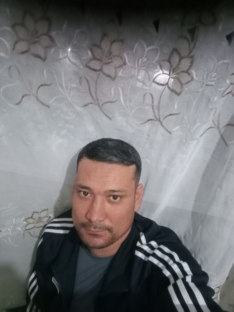 43685491  , 38 ,    