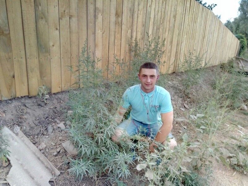 ���������� ��������, ���� ������� �������, 32 ����, ������������ ��� ������, ����� � ���������, c�������� ���������