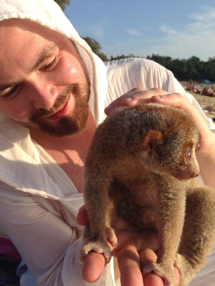 ���������� ������, ���� ������� Amigo, 34 ����, ������������ 