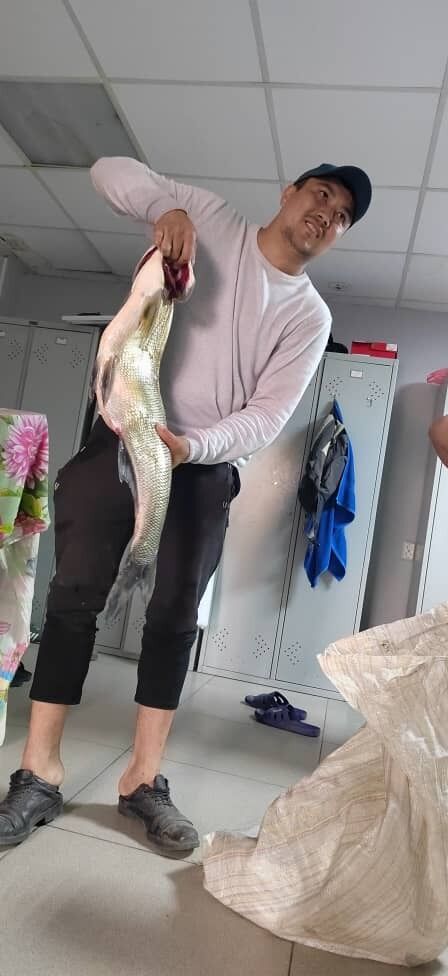  28093361  Daniyor, 31 ,    