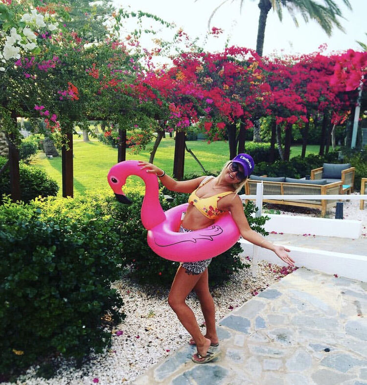  27691061  , 36 ,    -