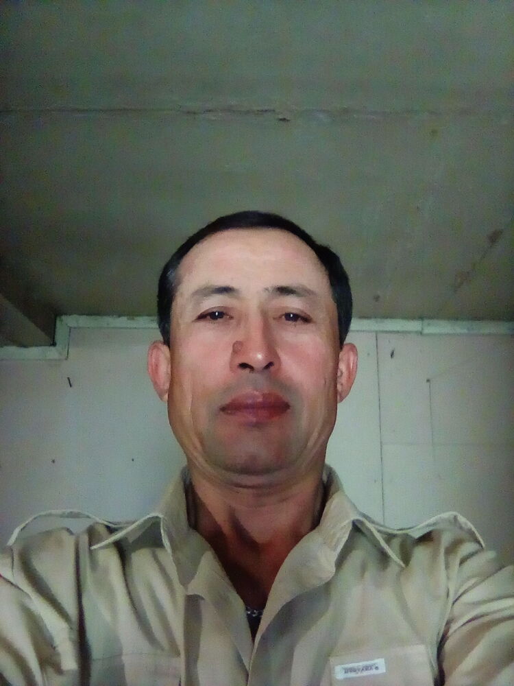  36087061  , 49 ,    