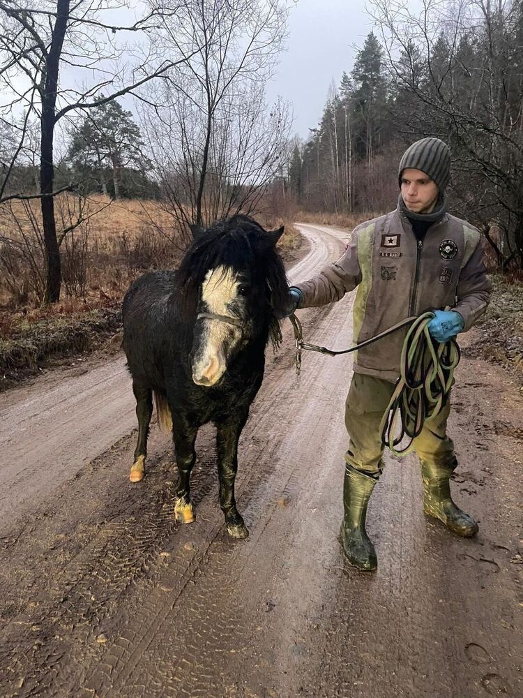 ���� 54834251 ����� ����, 24 ����, ���� ���������� � ��������