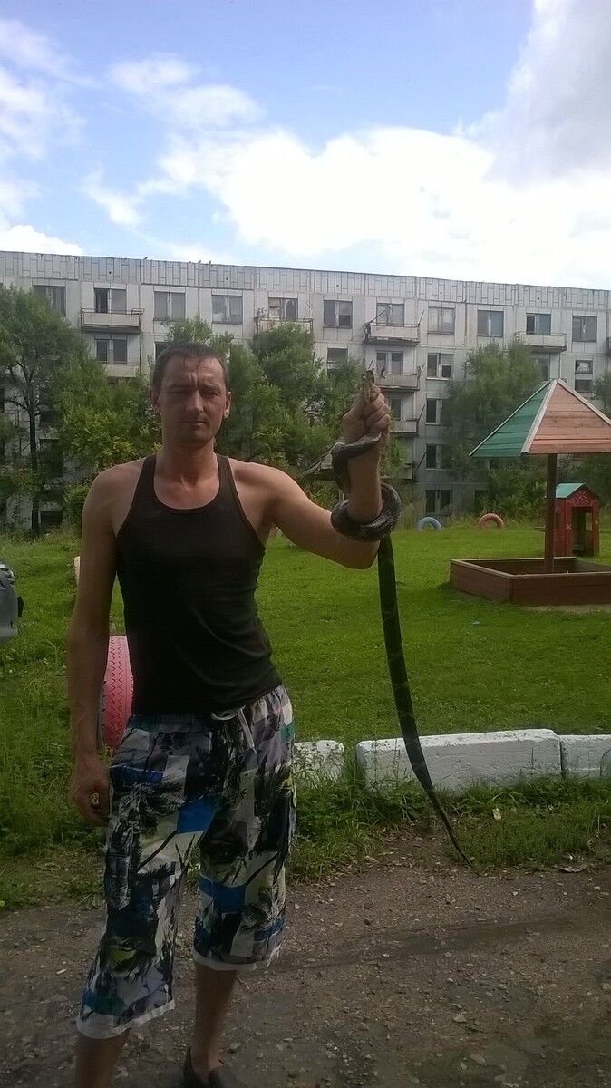 ���� 7764131 ������� ������, 36 ���, ���� ���������� � ����������