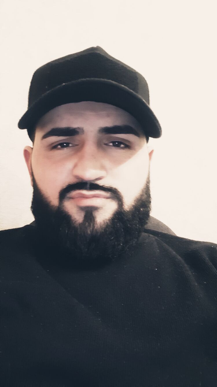 ���� 31134641 ������� �����, 33 ����, ���� ���������� � ������