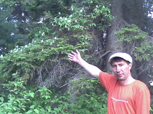 ���� 11343151 ������� Leonid, 52 ����, ���� ���������� � ������������