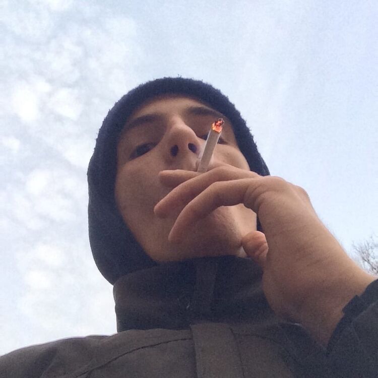 ���� 24257261 ����� ������, 22 ����, ���� ���������� � �����