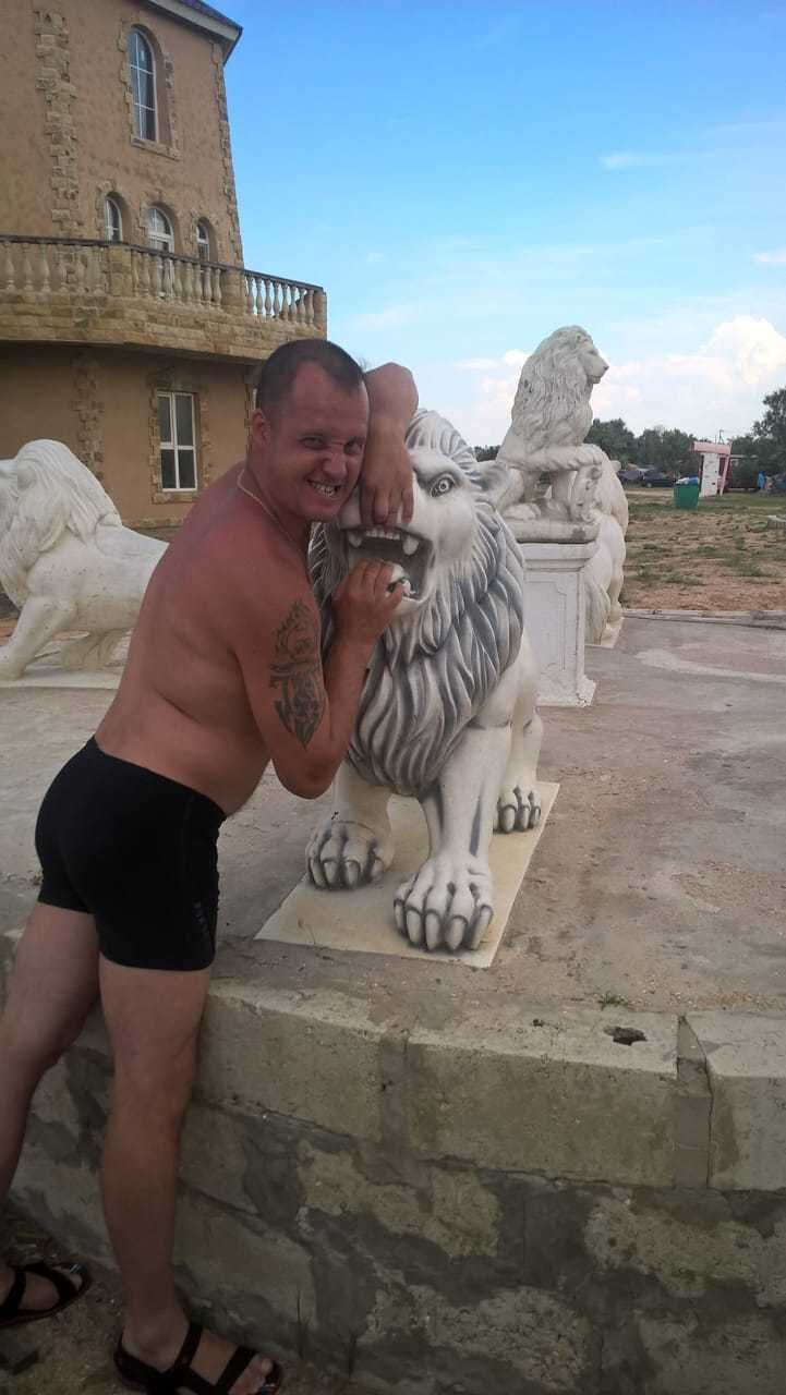 ���� 22625811 ������� ������, 40 ���, ���� ���������� � ����������