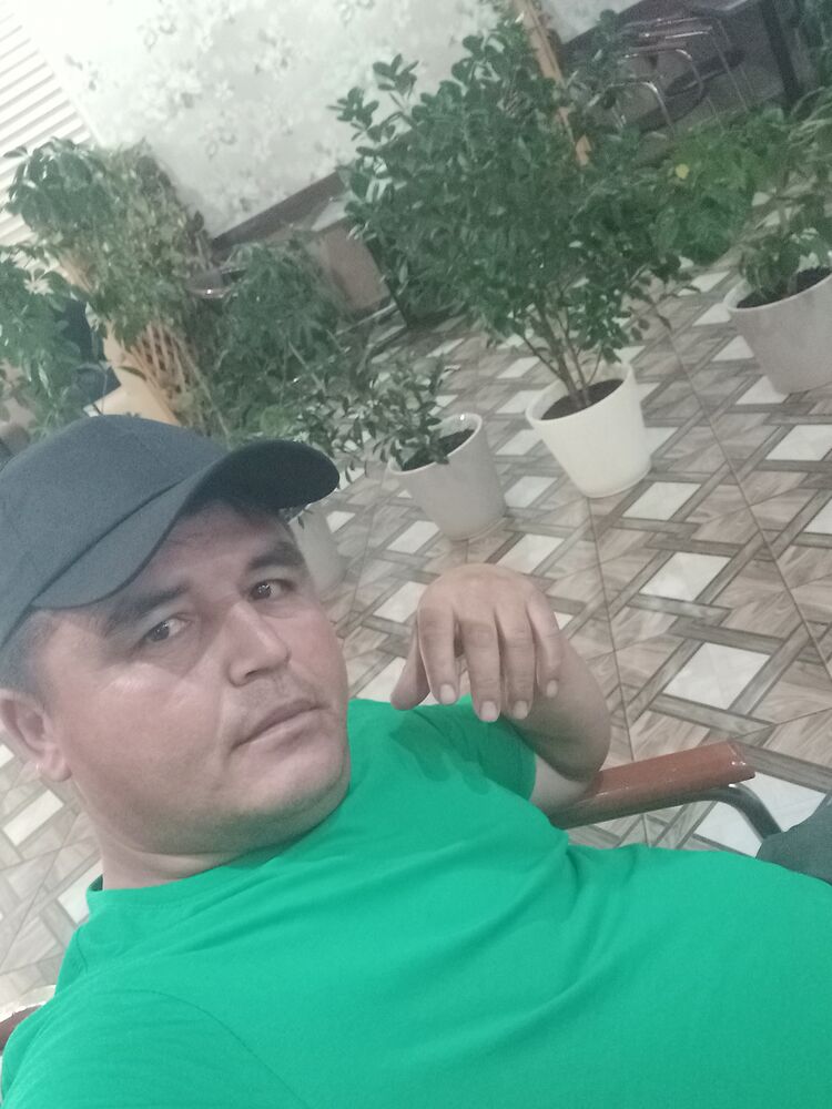  45591821  , 42 ,    