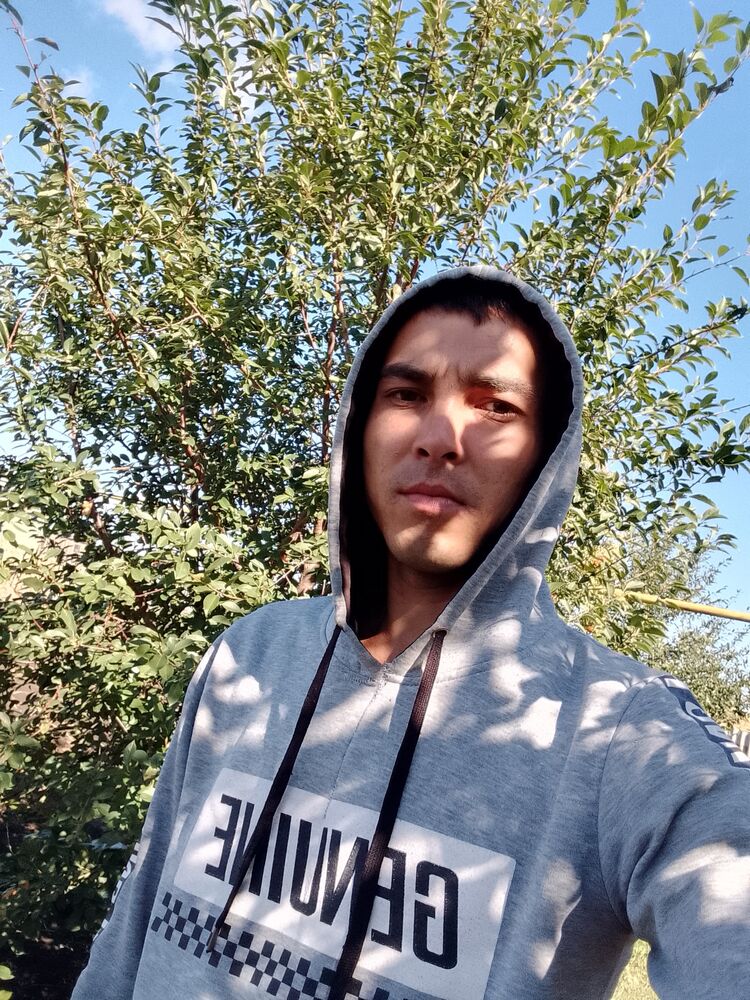  29275171  , 33 ,    