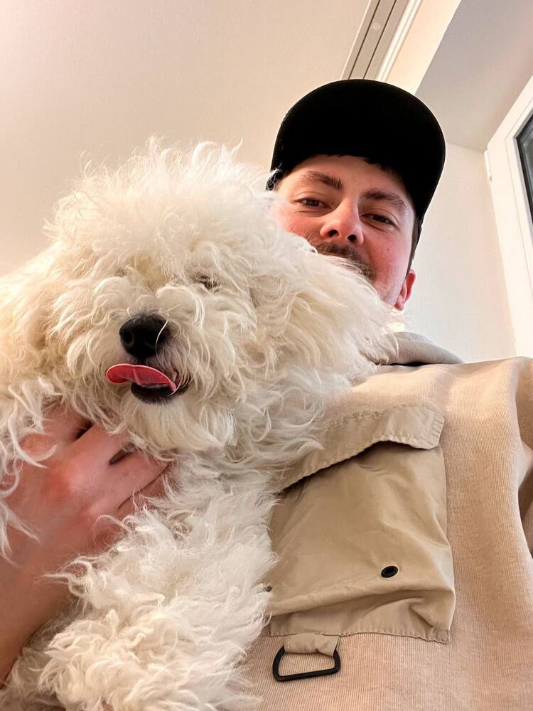 ���� 42846811 ������� DonMeys, 28 ���, ���� ���������� � ������