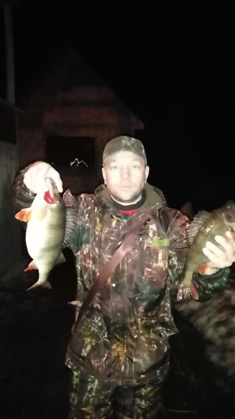 ���� 33510811 ������� ���������, 46 ���, ���� ���������� � ���������