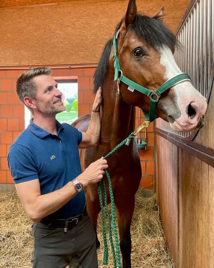 ���������� ���������, ���� ������� ������, 37 ���, ������������ ��� ����� � ���������, c�������� ���������