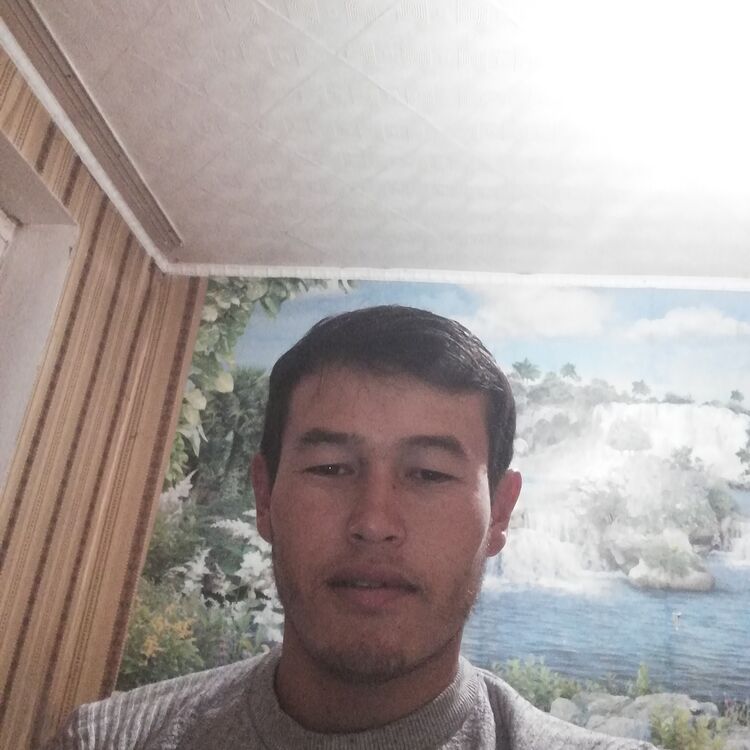 ���� 23973951 ������� �����, 32 ����, ���� ���������� � ������