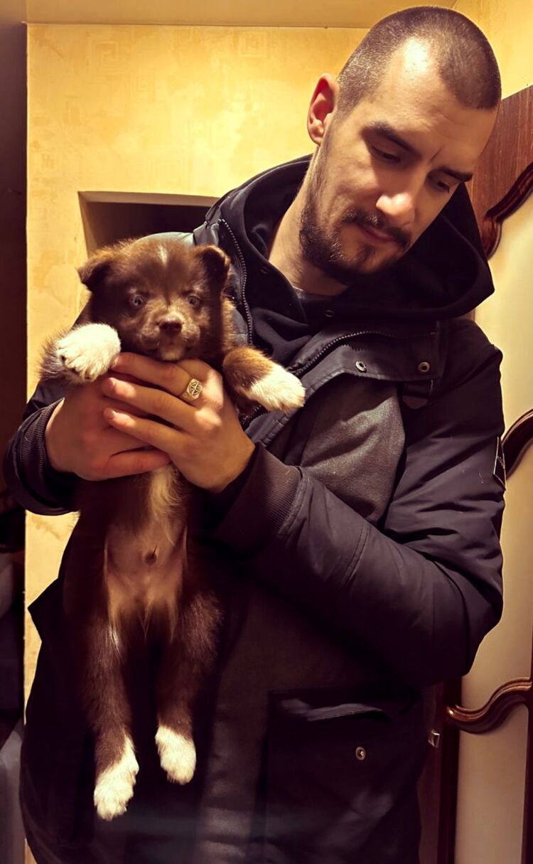 ���� 42242721 ������� �����, 30 ���, ���� ���������� � ������