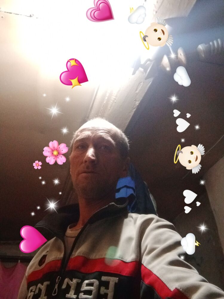 ���� 31854551 ������� �������, 44 ����, ���� ���������� � �����