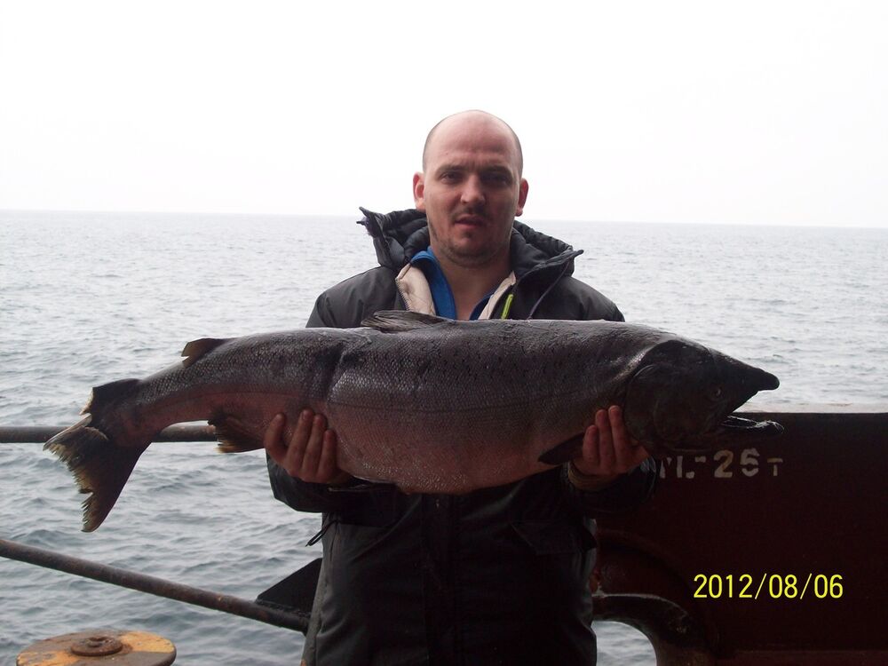 ���������� �������, ���� ������� ���������, 41 ���, ������������ ��� ������, ����� � ���������, c�������� ���������