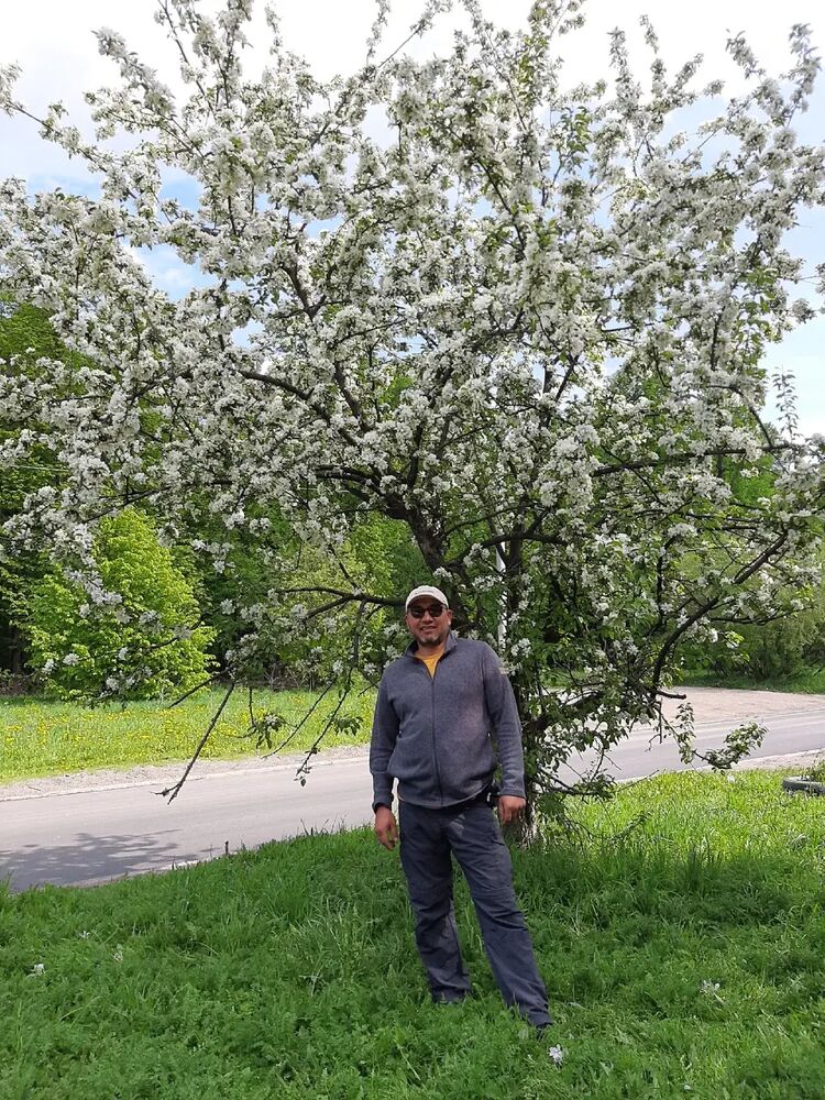 ���� 27385441 ������� �����, 48 ���, ���� ���������� � ������ ���������