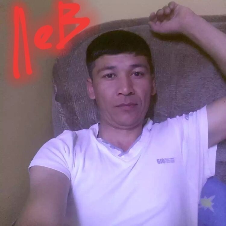  16301591  , 43 ,    