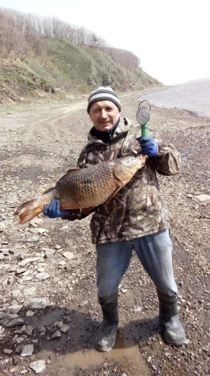  --,   , 66 ,   c 