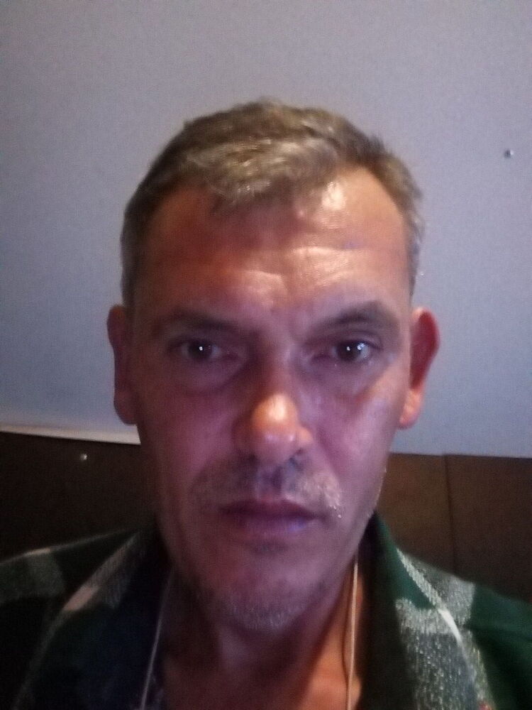  38408481  , 50 ,    