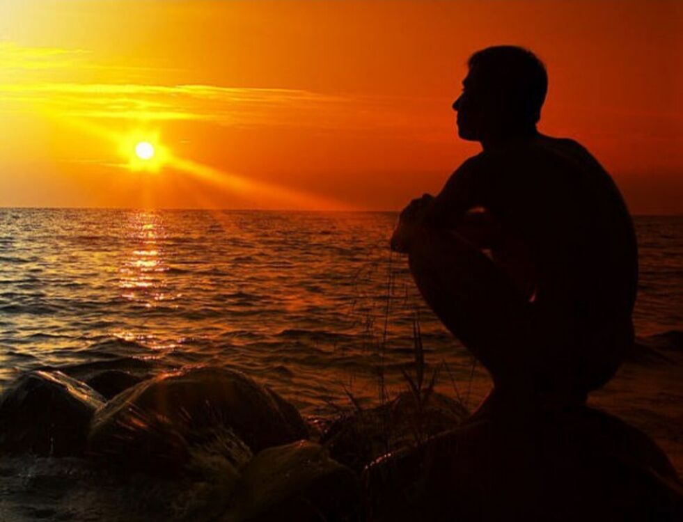 ���� 29037741 ������� ���, 56 ���, ���� ���������� � �������-��-����