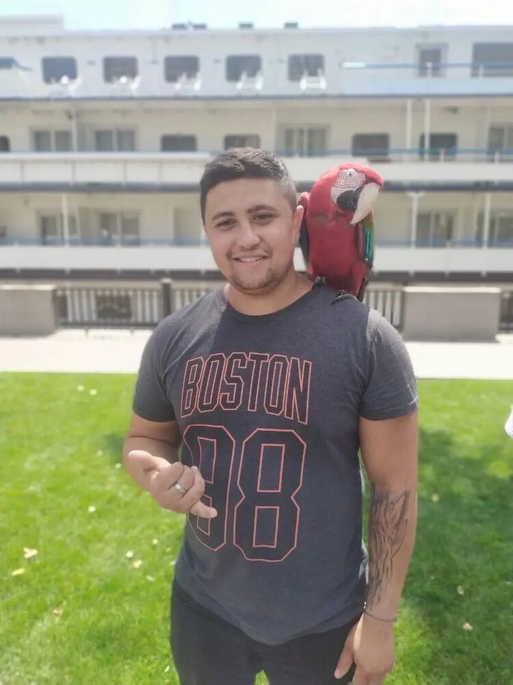 ���������� ������-��-����, ���� ������� �����, 26 ���, ������������ ��� ������, ����� � ���������