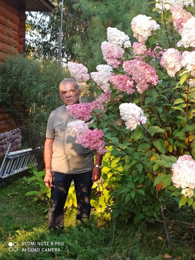  ,   , 62 ,   ,   