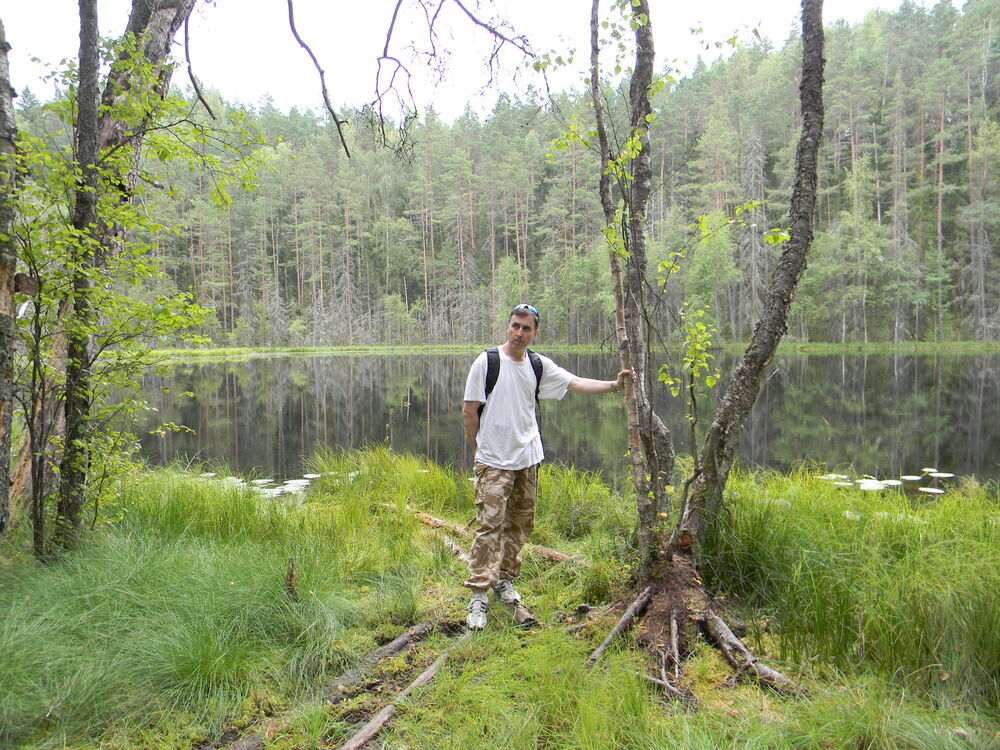 ���������� �����, ���� ������� A��������, 44 ����, ������������ ��� ������, ����� � ���������, c�������� ���������