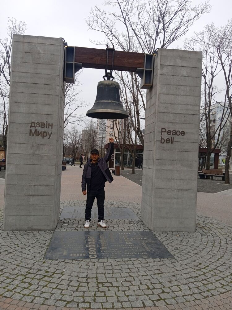  33803341  , 36 ,    