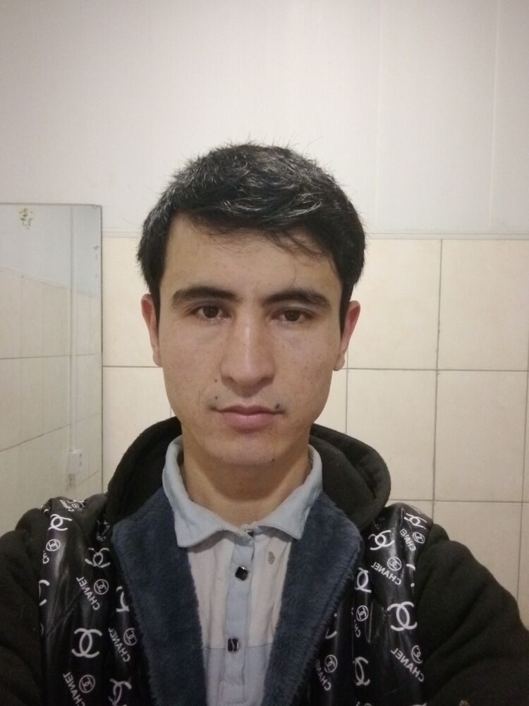  33184811  , 31 ,    