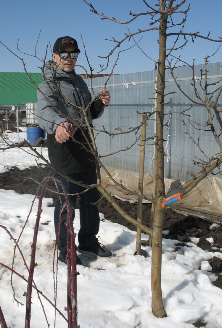 ���� 55446791 ������� �����, 55 ���, ���� ���������� � ����