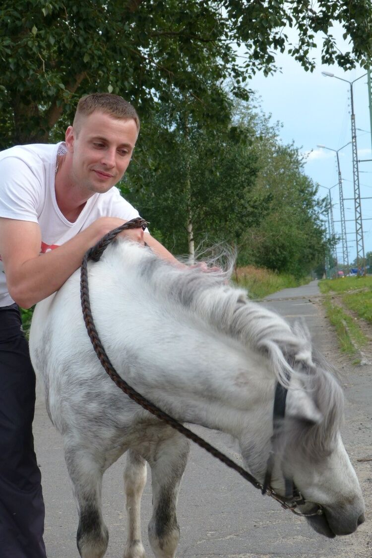 ���������� ������������, ���� ������� �����, 41 ���, ������������ ��� ������, ����� � ���������